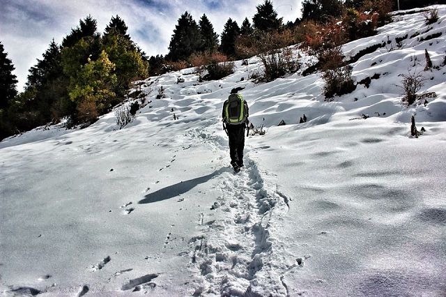 Prashar Lake Trek in Winter