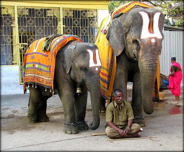 Tirupati 
