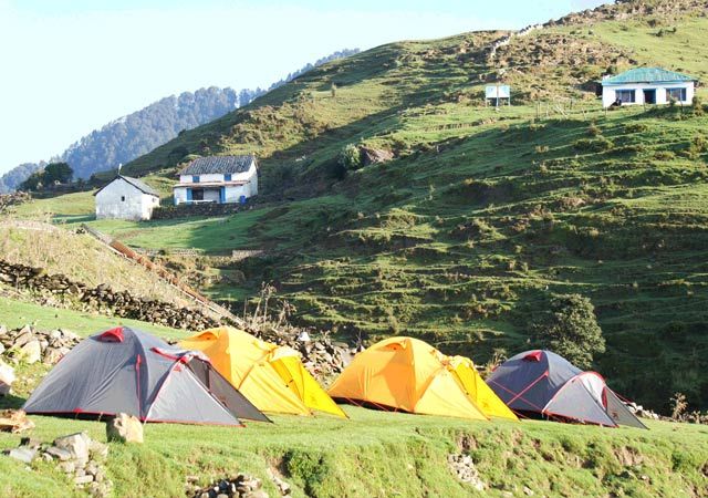 Raison in Himachal Pradesh