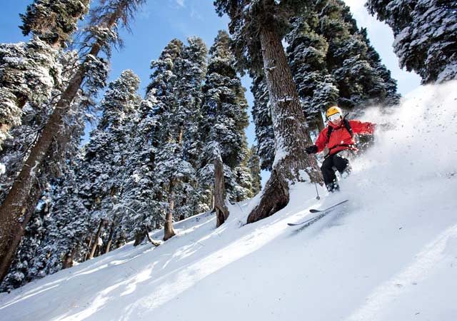 Skiing in Narkanda