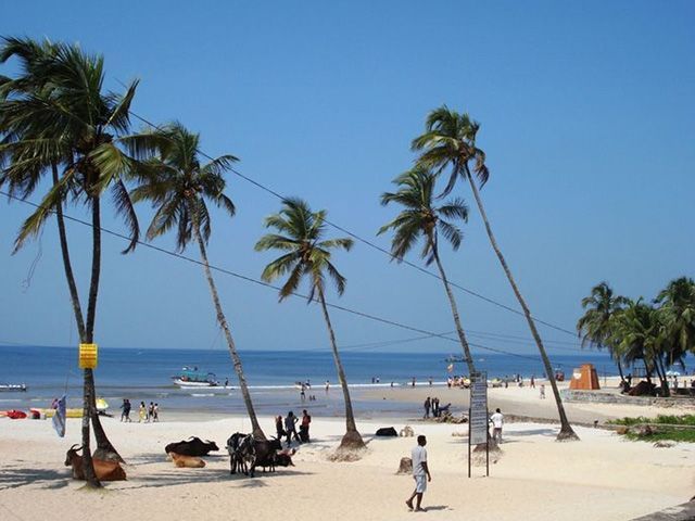 Colva-beach