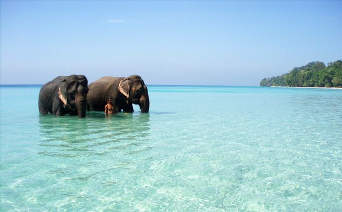 Elephant-Beach