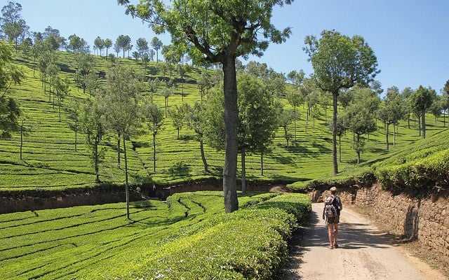 Coonoor: Top Places to Visit in India in May