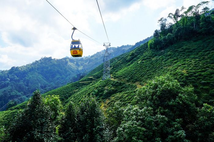darjeeling-ropway