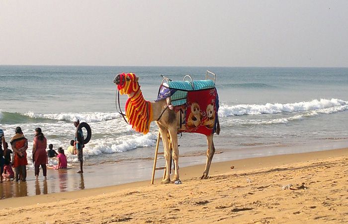 puri-beach