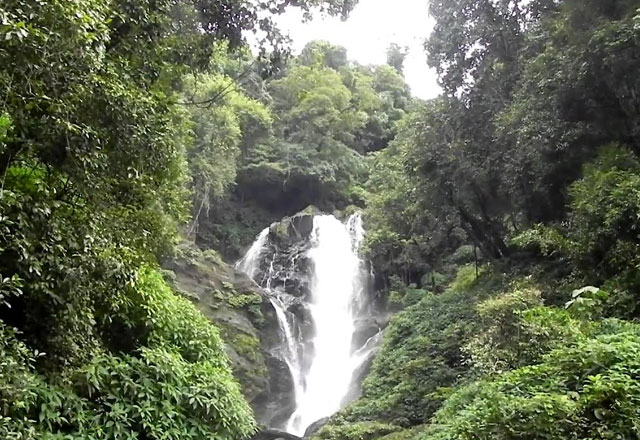 Arabithittu Wildlife sanctuary in Karnataka