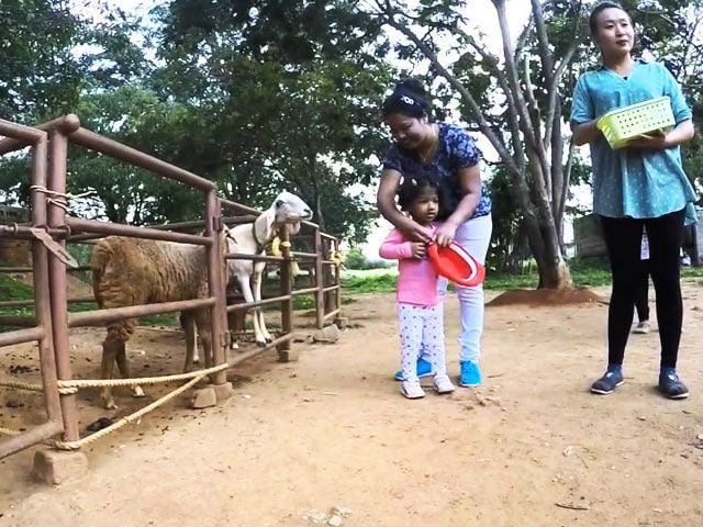 A must visit attraction, Gerry Marting Farm offers numerous fun activities for kids.