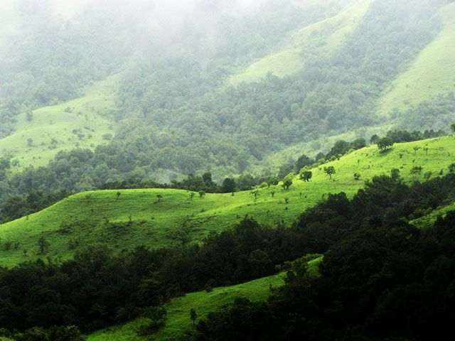 Kudremukh National Park