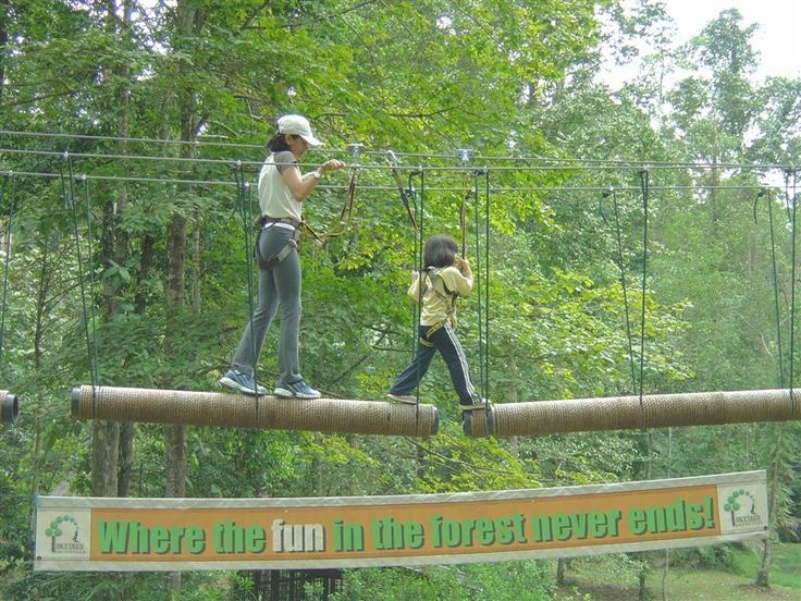 Skytrex Adventure in Malaysia
