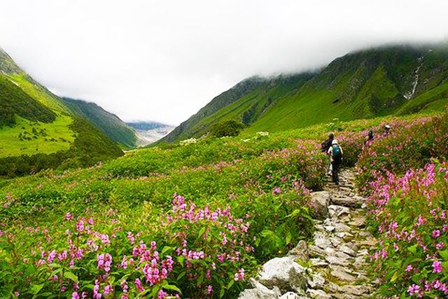 Trek-in-valley-of-flower