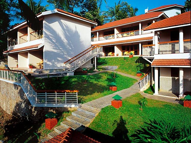 Cardamom County in Thekkady