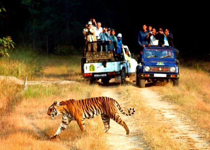 Corbett-National-Park