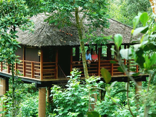Treehouse in Kerala: romantic activities for couples in kerala