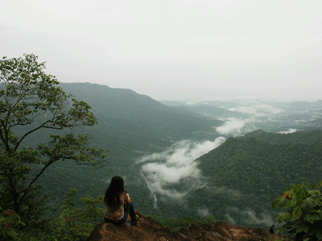 Lakkidi View Point