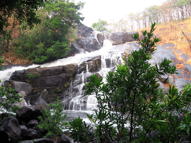 Meenmutty Waterfalls: things to do in wayanad