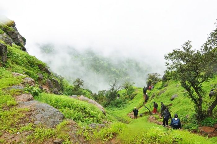 trekking in maharashtra in monsoon