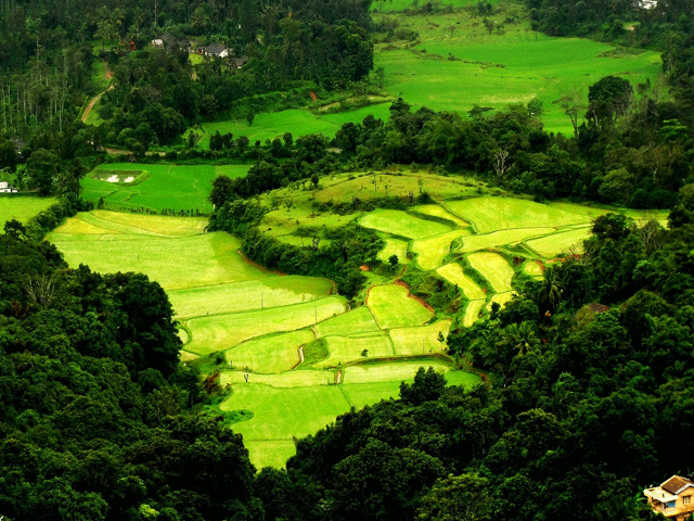 Coorg: hill stations in karnataka