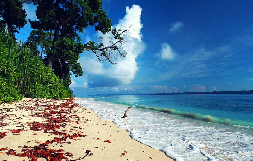 Havelock-Island