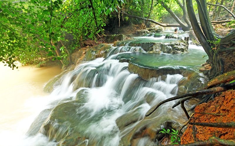 Krabi-Rainforest
