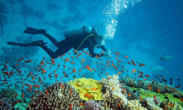 Scuba-Diving