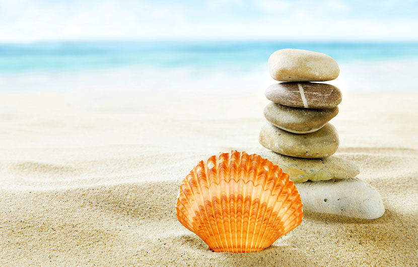 Sea-Shells-at-Kalapathar-Beach