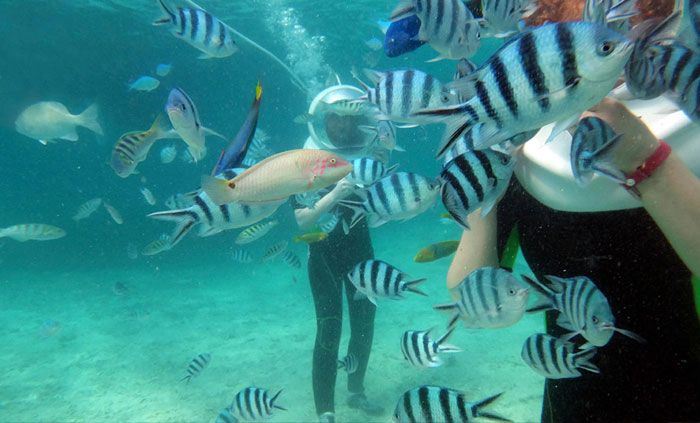 Sea-Walking