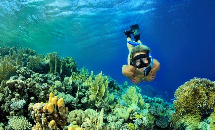 Snorkeling