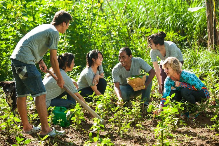 farming-workshop