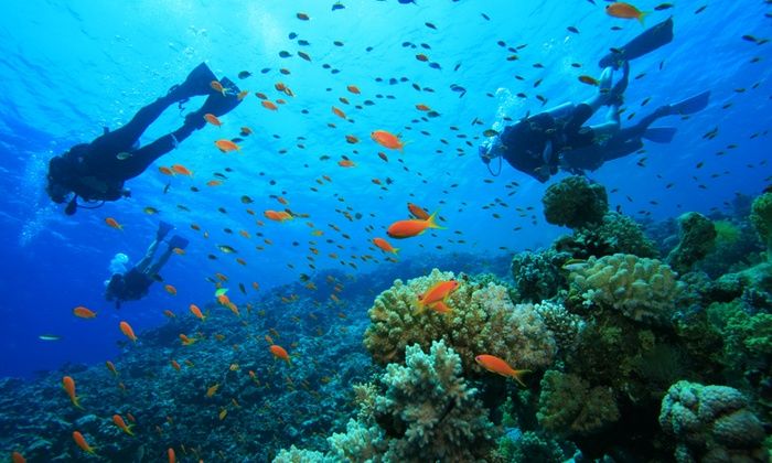 scuba-diving