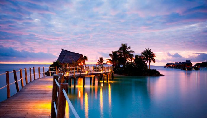 Dolphin Island in Fiji