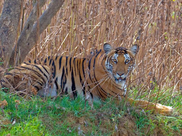 Nagarhole National Park: must visit places in coorg
