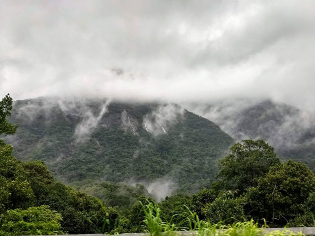 Sakleshpur in Monsoon