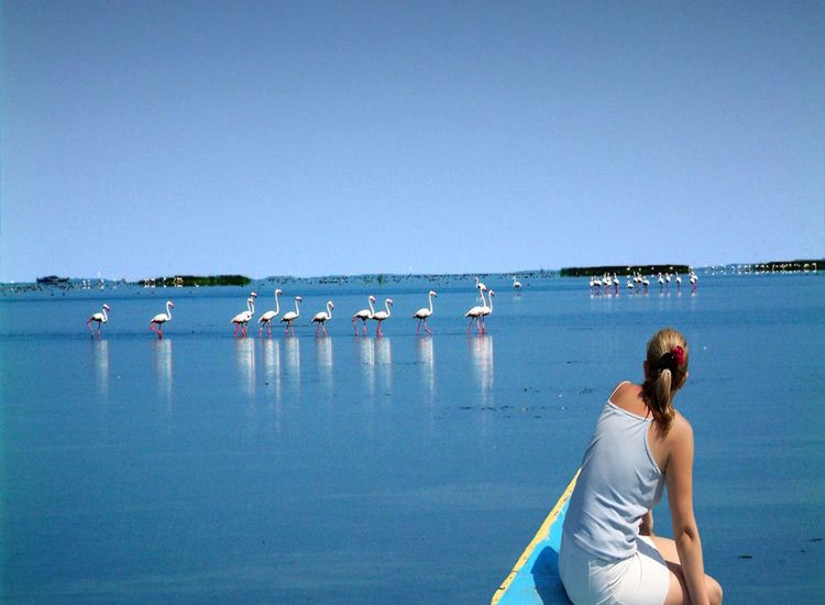 chilika-lake