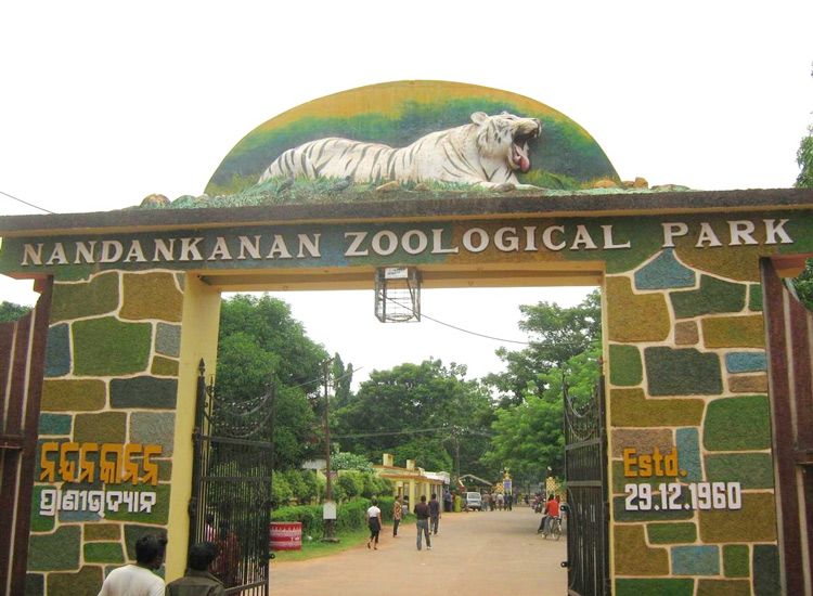nandankanan-zoological-park