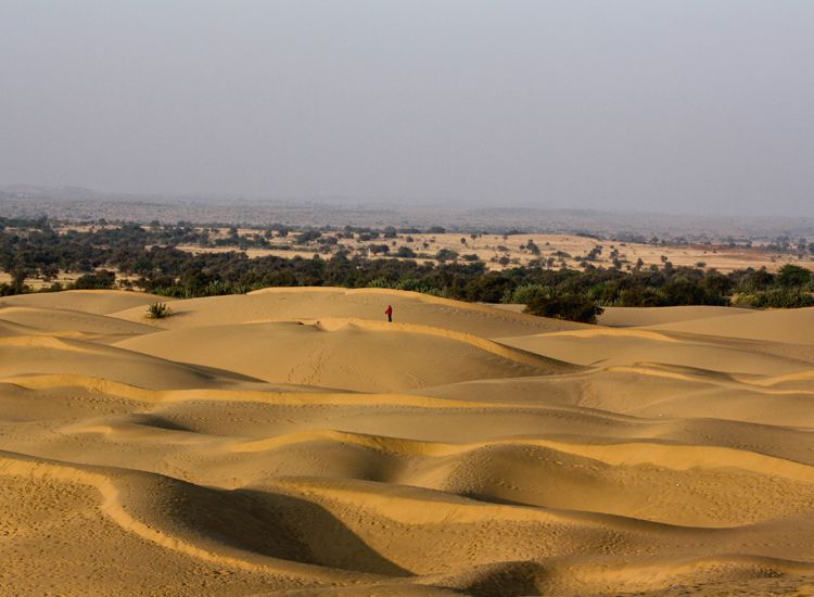 Thar-desert-in Rajasthan