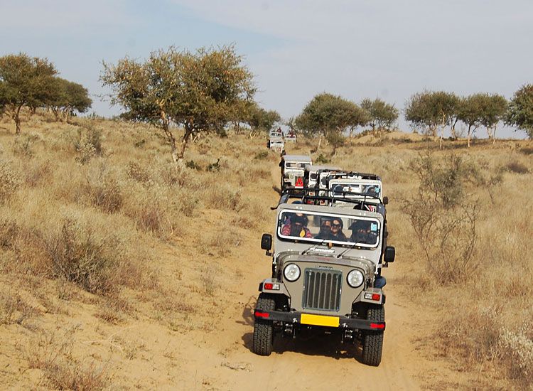 Jeep-safari