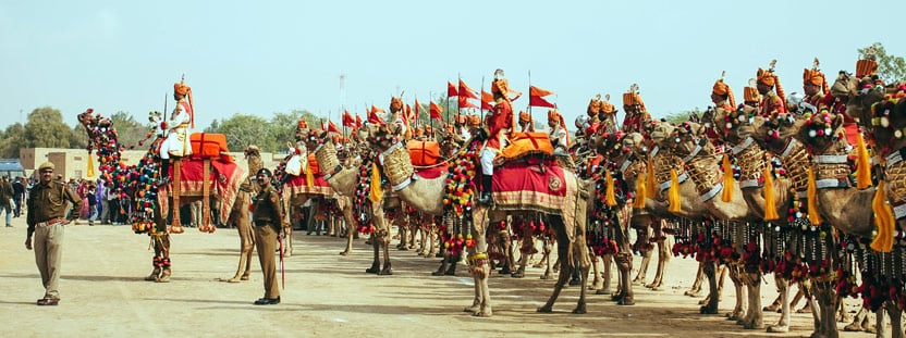 Festivals in Rajasthan: How to Plan Your Trip Around the State’s Biggest Celebrations