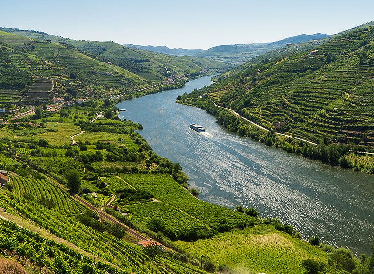 Douro Valley in Portugal