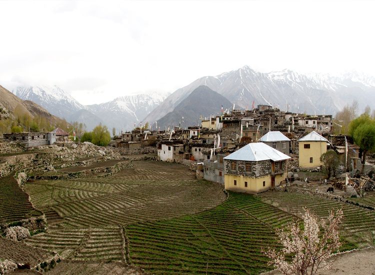 Nako Village in Lahaul Spiti