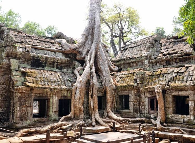 Angkor Archaeological Park