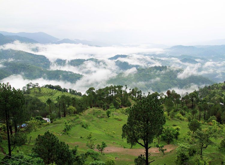  Kanatal in Uttarakhand