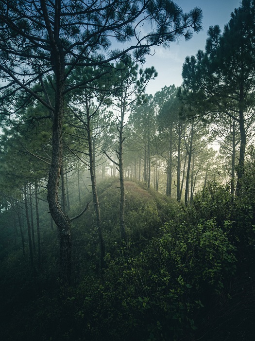 Nahan: Hill Stations near Delhi with Family or Friends