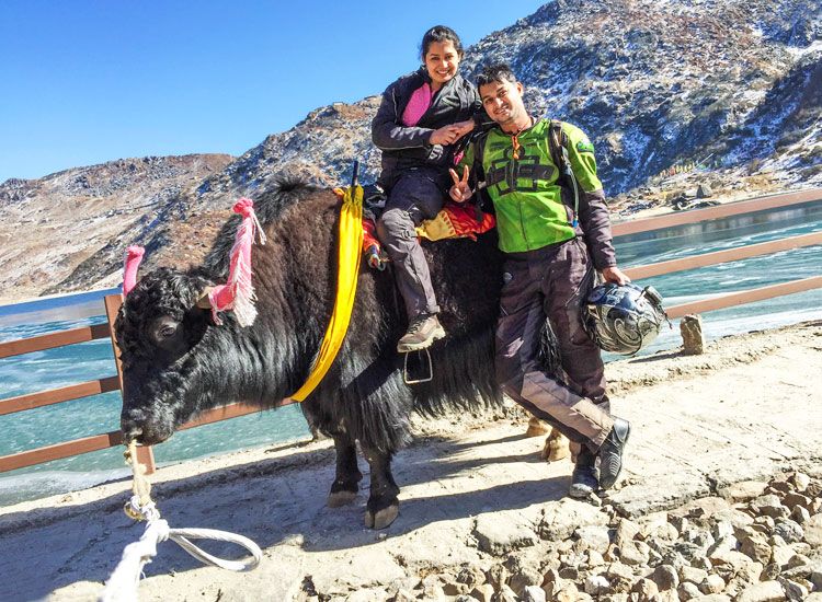yak ride in sikkim