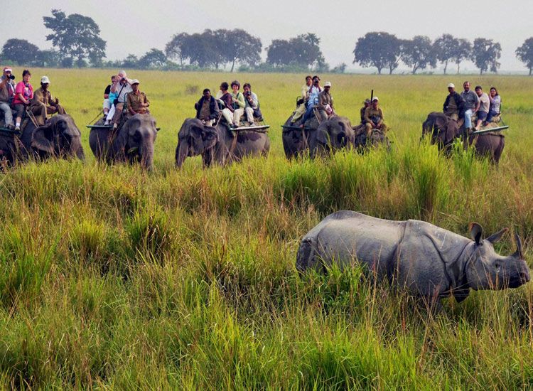 Manas National Park in Assam