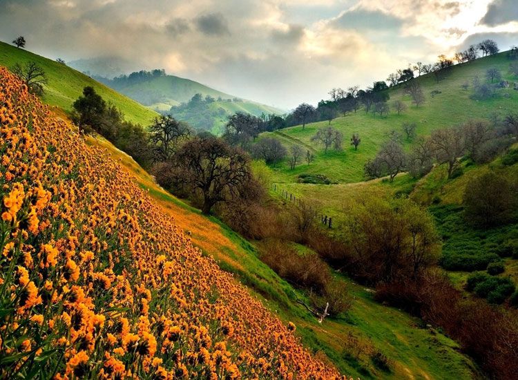 Valley of Flowers in Uttarakhand