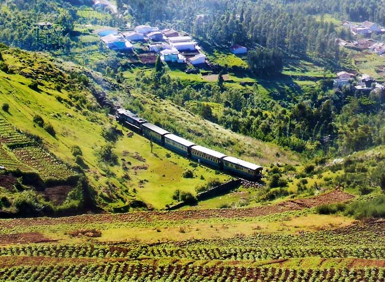 Coonoor, Tamil Nadu