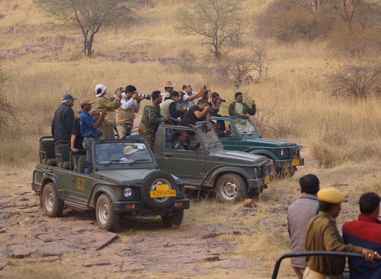 Jeep Safari in Ranthambore