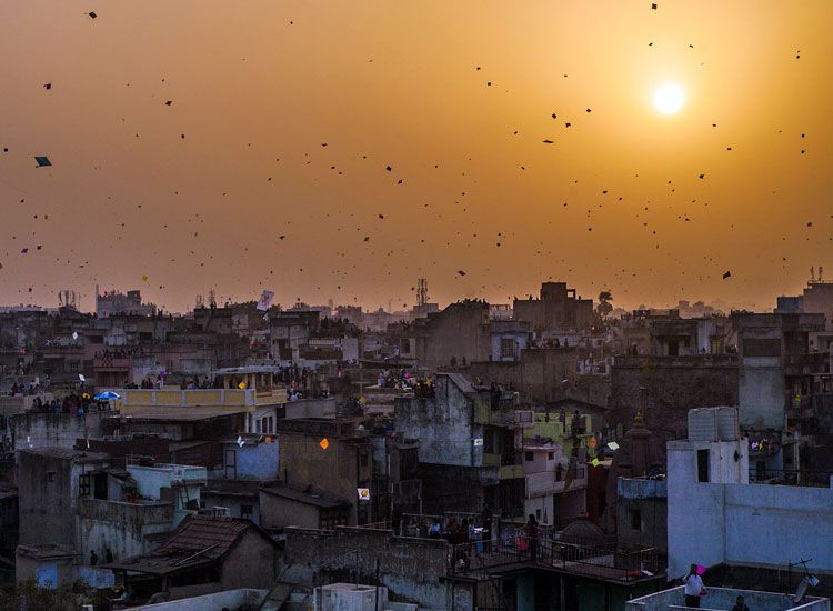 Kite flying festival in Rajasthan