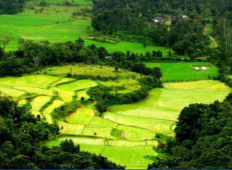Coorg in Karnataka