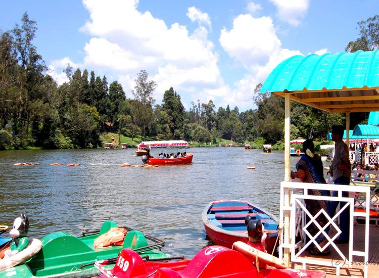 ooty-tamil-nadu
